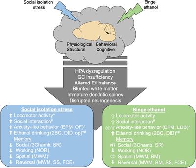 Areas of Convergence and Divergence in Adolescent Social Isolation and Binge Drinking: A Review